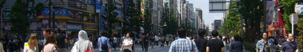 コットンについて調べてみましょう。
